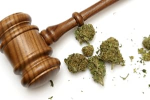 US Patent 6630507 for Medical Marijuana